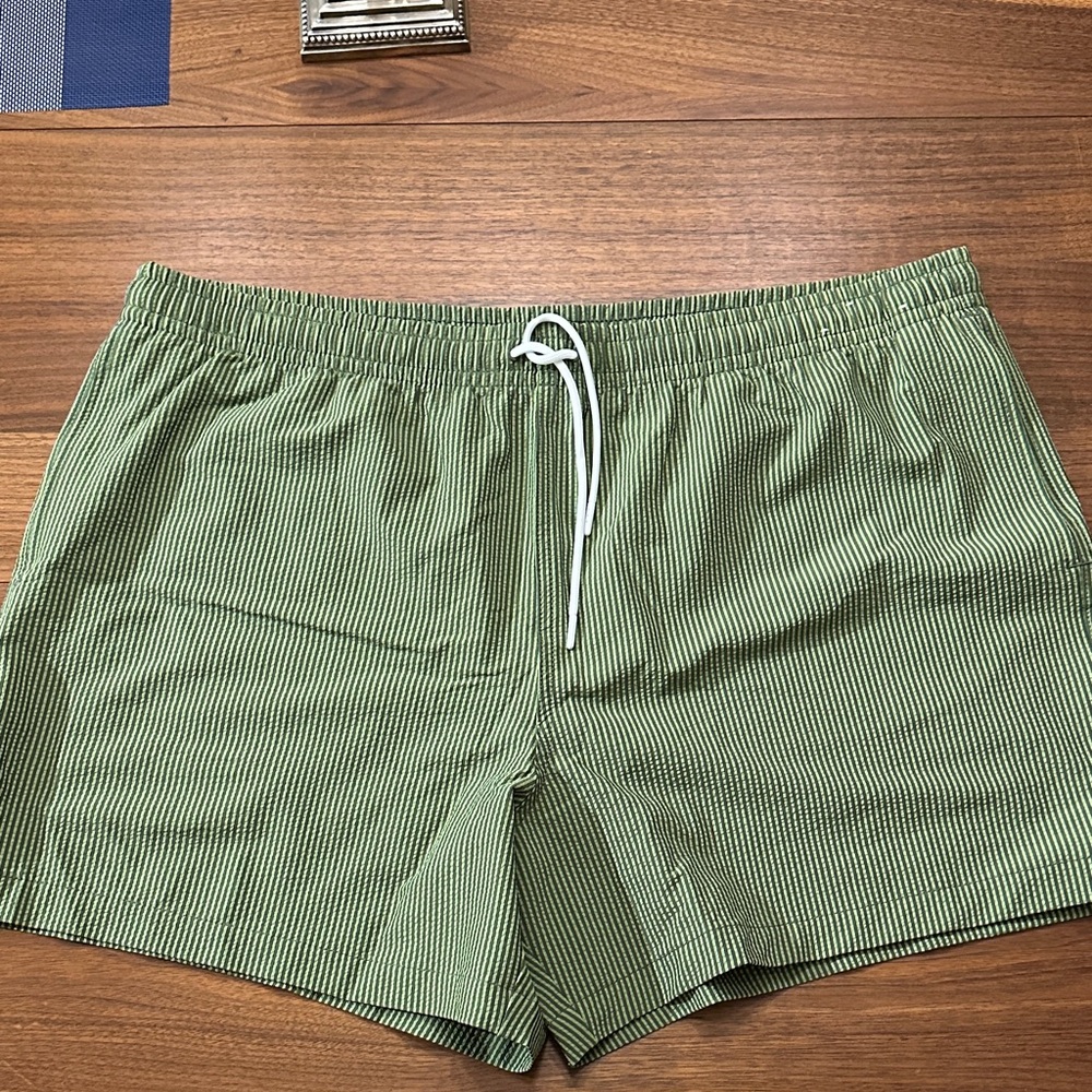 Abercrombie & Fitch Green Striped Swim Trunks